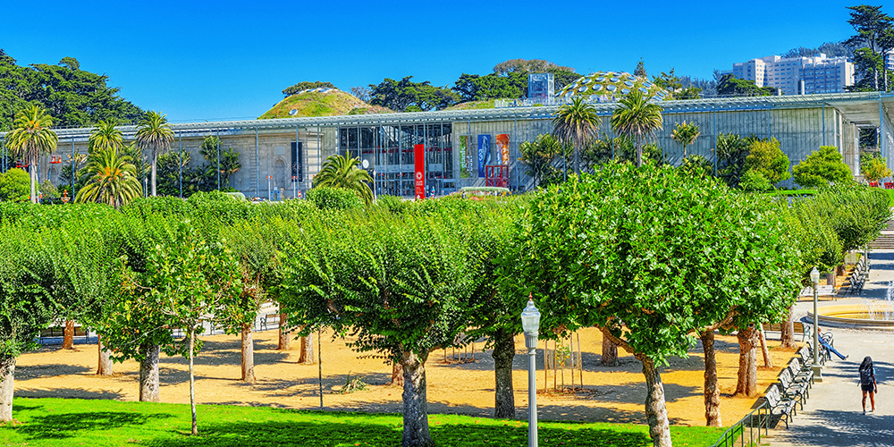 California Science Academy in San Fransisco, CA